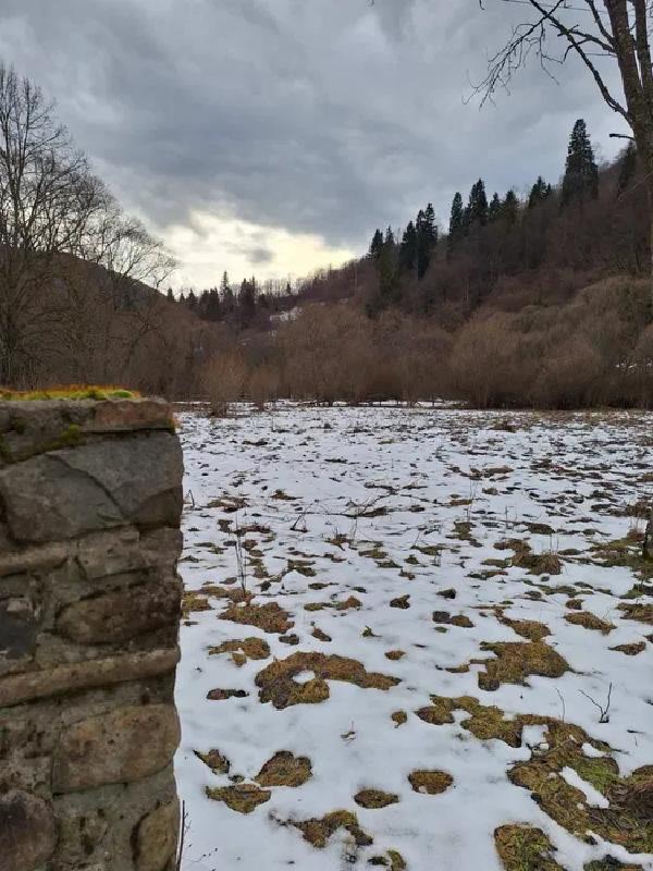  - фото нерухомості